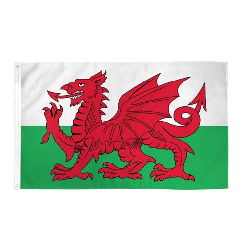 Wales Flag / Wall Hanging - 150cm x 90cm