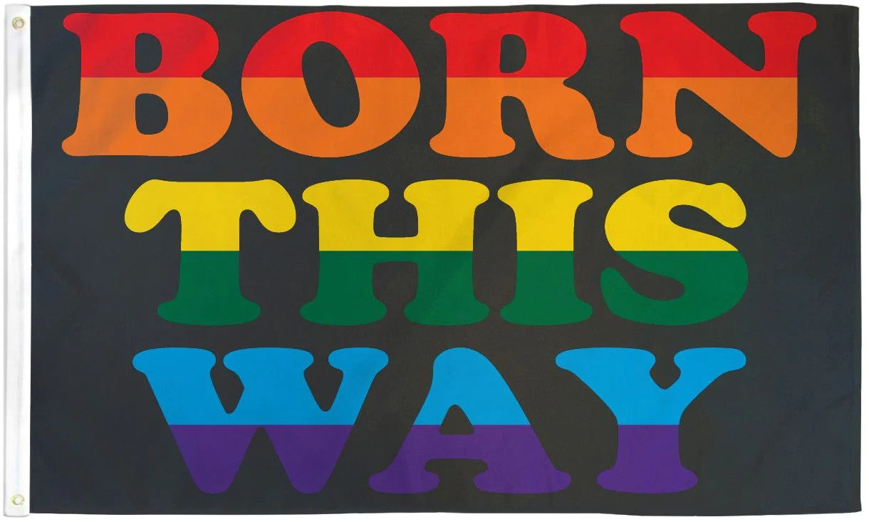Born This Way Pride Flag / Wall Hanging - 150cm x 90cm