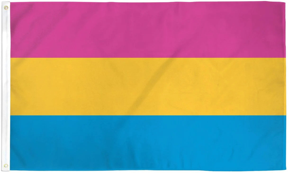 Pansexual Pride Flag / Wall Hanging - 150cm x 90cm